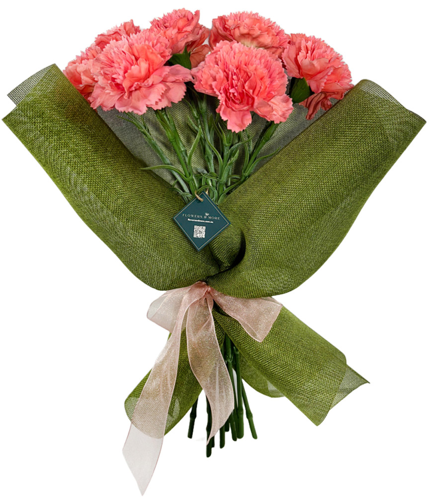 Red Carnation in Green Wrap