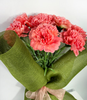 Red Carnation in Green Wrap