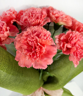 Red Carnation in Green Wrap