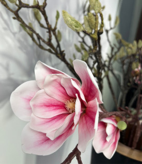 100cm Giant Pink Magnoliah in Wooden Vase