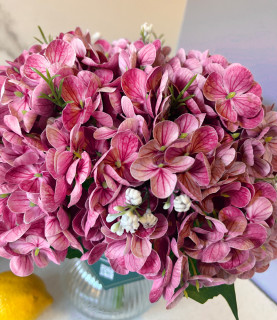 32 Pink Hydrangea in Striped Vase