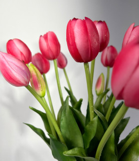 40cm Hot Pink Tulips In 20cm Vase