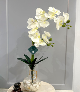 42cm White Orchid in Striped Vase