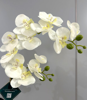 42cm White Orchid in Striped Vase