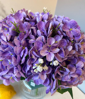 32 Purple Hydrangea In Striped Vase