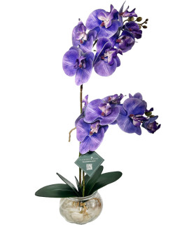 45cm Purple Orchid With Pebbles