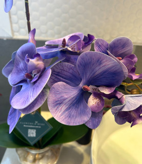 45cm Purple Orchid With Pebbles