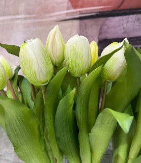 32cm White Tulips in Dark Glass Vase