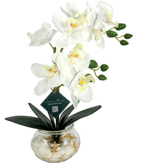 42cm White Orchid With Pebbles