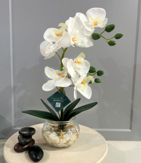 42cm White Orchid With Pebbles