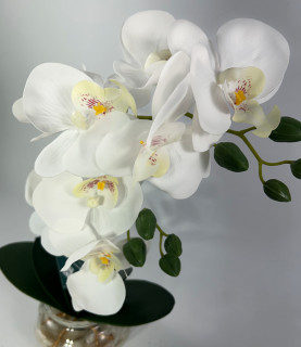 42cm White Orchid With Pebbles