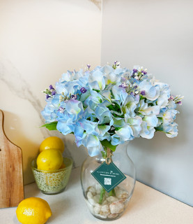 35 Baby Blue Hydrangea With Pebbles