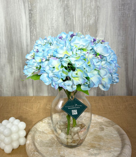 35 Baby Blue Hydrangea With Pebbles