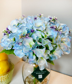 35 Baby Blue Hydrangea With Pebbles