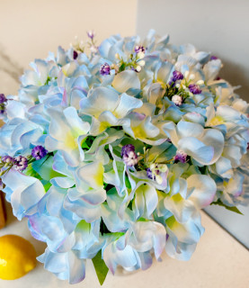 35 Baby Blue Hydrangea With Pebbles