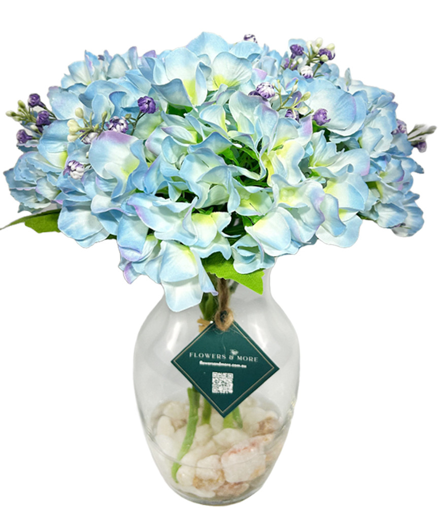 35 Baby Blue Hydrangea With Pebbles