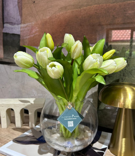 32cm White Tulips With Pebbles