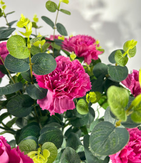 50cm Hot Pink Carnation With Eucalyptus