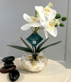 30cm White Orchid With Pebbles