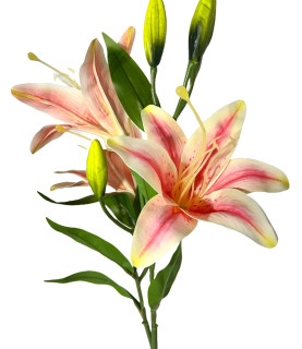 78cm Orange Pink  Lily