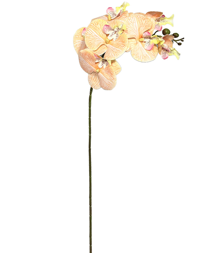 57cm Real Touch Orchid Champagne