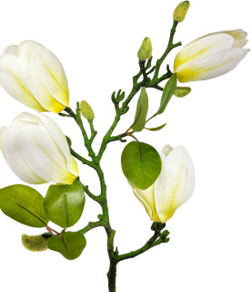 65cm Vintage Magnolia White