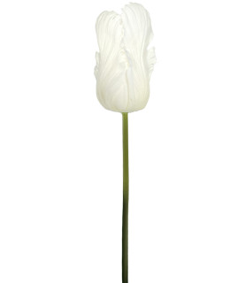 Real Touch Parrot Tulips White