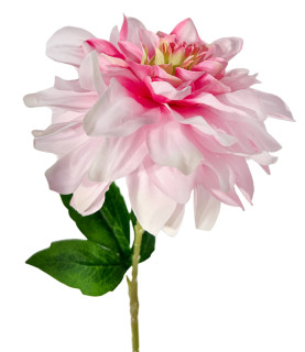 65cm Pink Dahlia