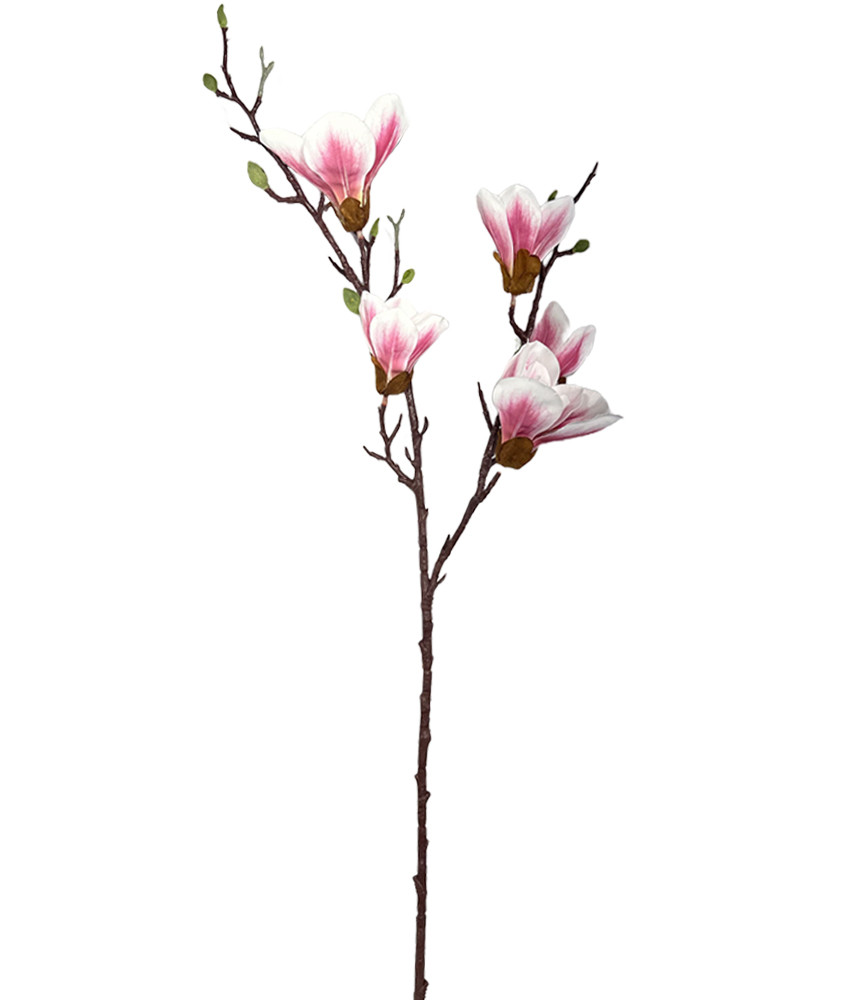 Giant Magnolia Flower Branch Pink