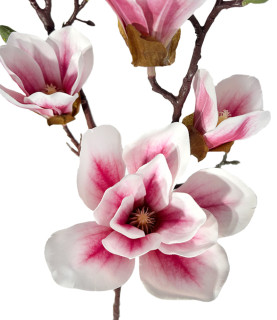 Giant Magnolia Flower Branch Pink