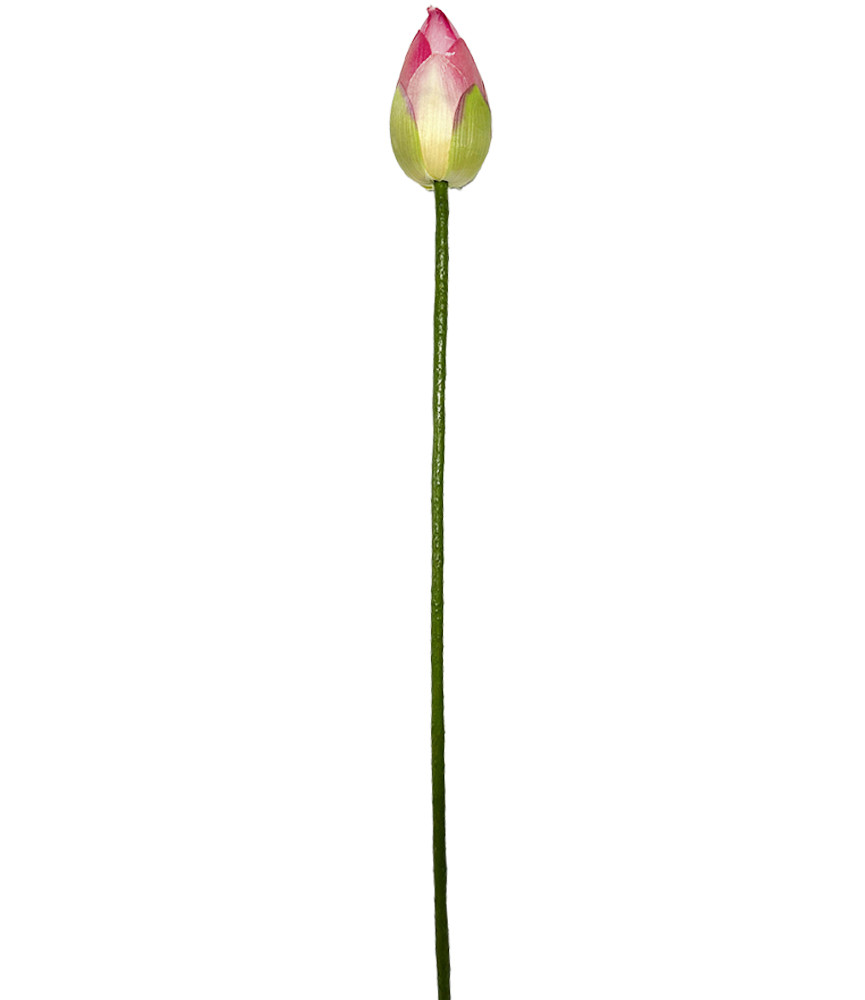 75cm Pink Lotus Bud