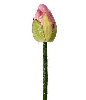 75cm Pink Lotus Bud