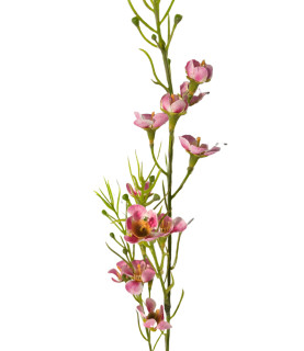 68cm Willow Flowers Pink