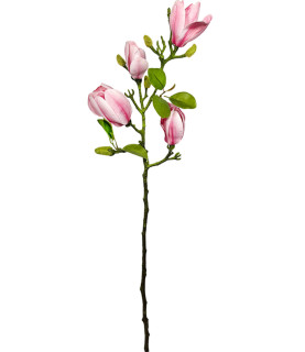 65cm Vintage Magnolia Pink