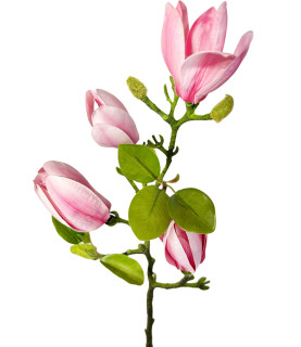 65cm Vintage Magnolia Pink