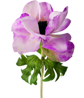 48cm Poppy Flower Purple