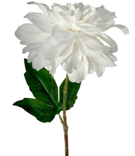 65cm White Dahlia