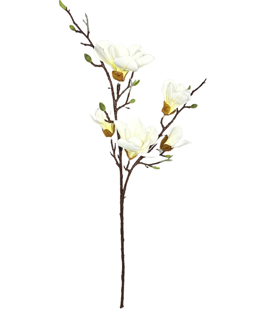 Giant Magnolia Flower Branch White