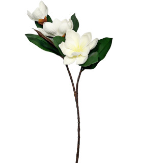 3 Head White Magnolia