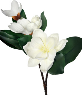 3 Head White Magnolia