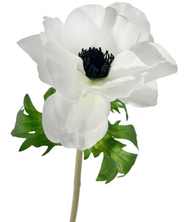 48cm Poppy Flower White