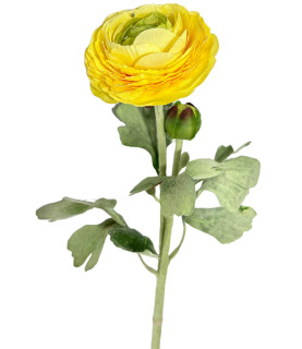 48cm Yellow Ranunculus